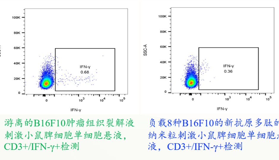 超越四聚体，从识别到“真杀伤”|肿瘤T细胞检测新高度