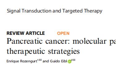 棕榈酰化专题|《Signal Transduction and Targeted Therapy》（IF=38.104，JCR Q1）解读：胰腺癌的分子发病机制与新兴治疗策略