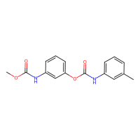 甲醇中甜菜宁溶液标准物质,13684-63-4,1000μg/ml in Methanol,阿拉丁