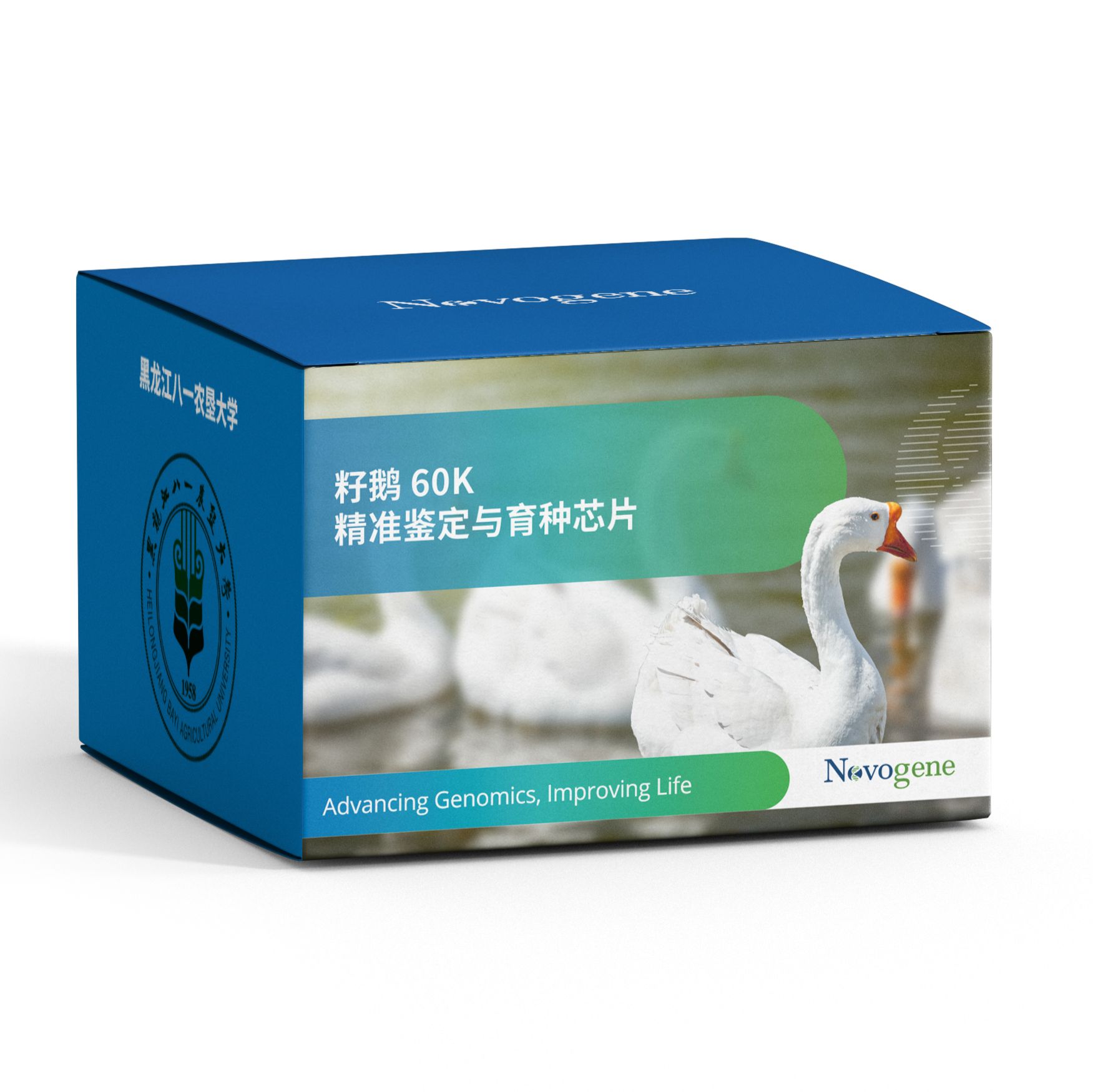 诺禾致源籽鹅60K精准鉴定与育种芯片