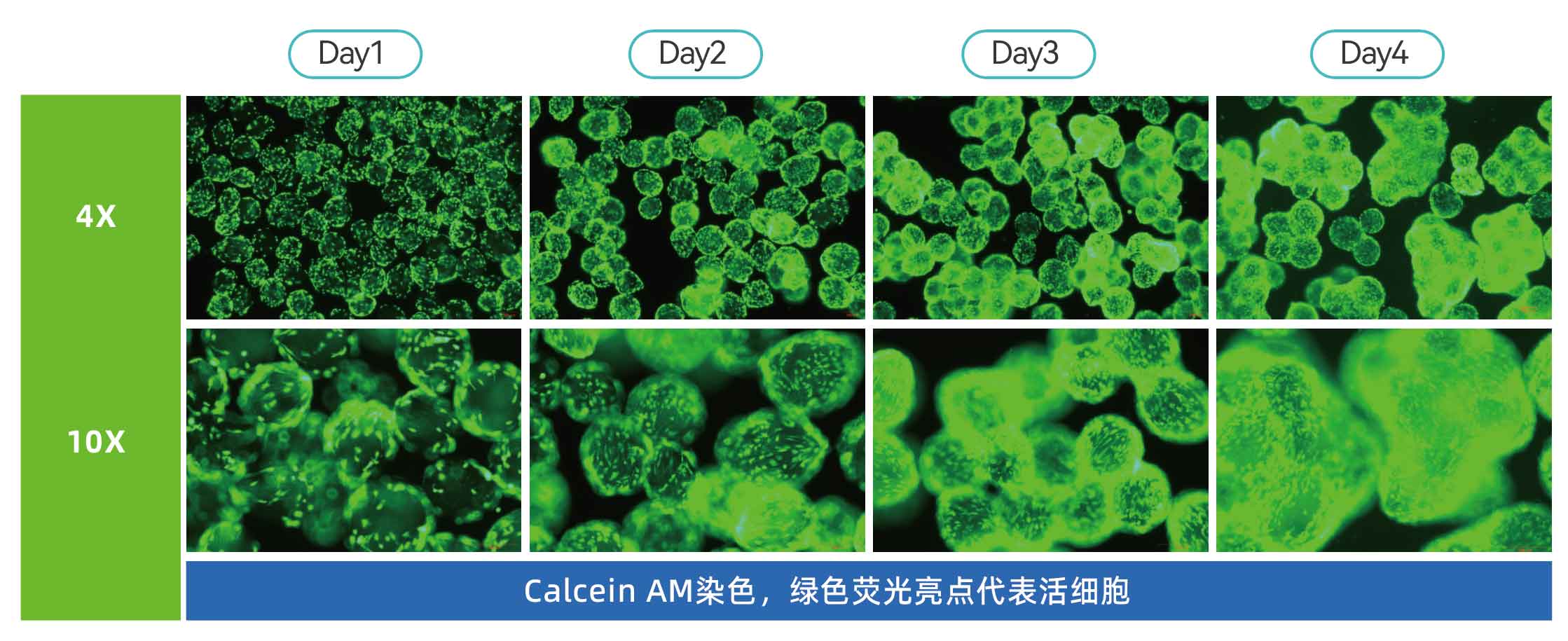 产品细节图片10