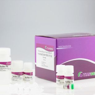 天根 石蜡包埋组织DNA快速提取试剂盒(DP330/DP331)