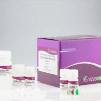 天根 石蜡包埋组织DNA快速提取试剂盒(DP330/DP331)