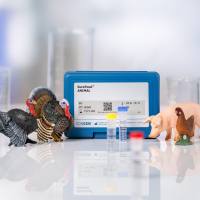 SureFast® Meat 4plex Pork/Chicken/Turkey (肉种猪肉/鸡肉/火鸡肉四重检测试剂盒)