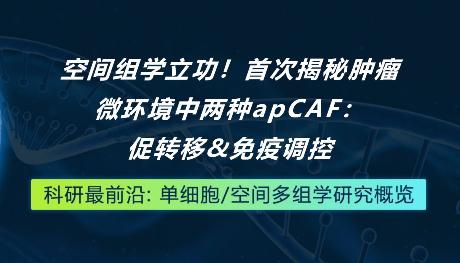 Cancer Cell丨空间组学立功！首次揭秘肿瘤微环境中两种apCAF：促转移和免疫调控