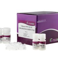 天根  石蜡包埋组织 DNA 提取试剂盒(DP340)