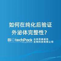 如何在纯化后验证外泌体完整性？