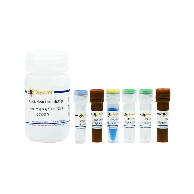 BeyoClick™ Plus EdU-488细胞增殖检测试剂盒