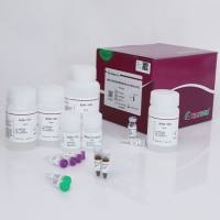 天根  磁珠法高效多糖多酚植物总RNA提取试剂盒（DP772）