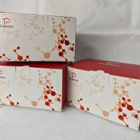 β－葡萄糖醛酸苷酶（β-glucuronidase，β-GD）试剂盒