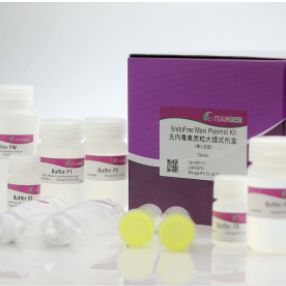 天根  无内毒素质粒大提试剂盒（增强型） DP120-01