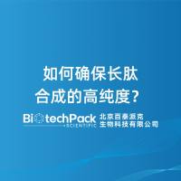 如何确保长肽合成的高纯度？