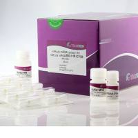 天根  miRcute miRNA提取分离试剂盒（DP501）