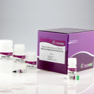 天根 增强型磁珠法大体积游离核酸提取试剂盒(DP720-01)