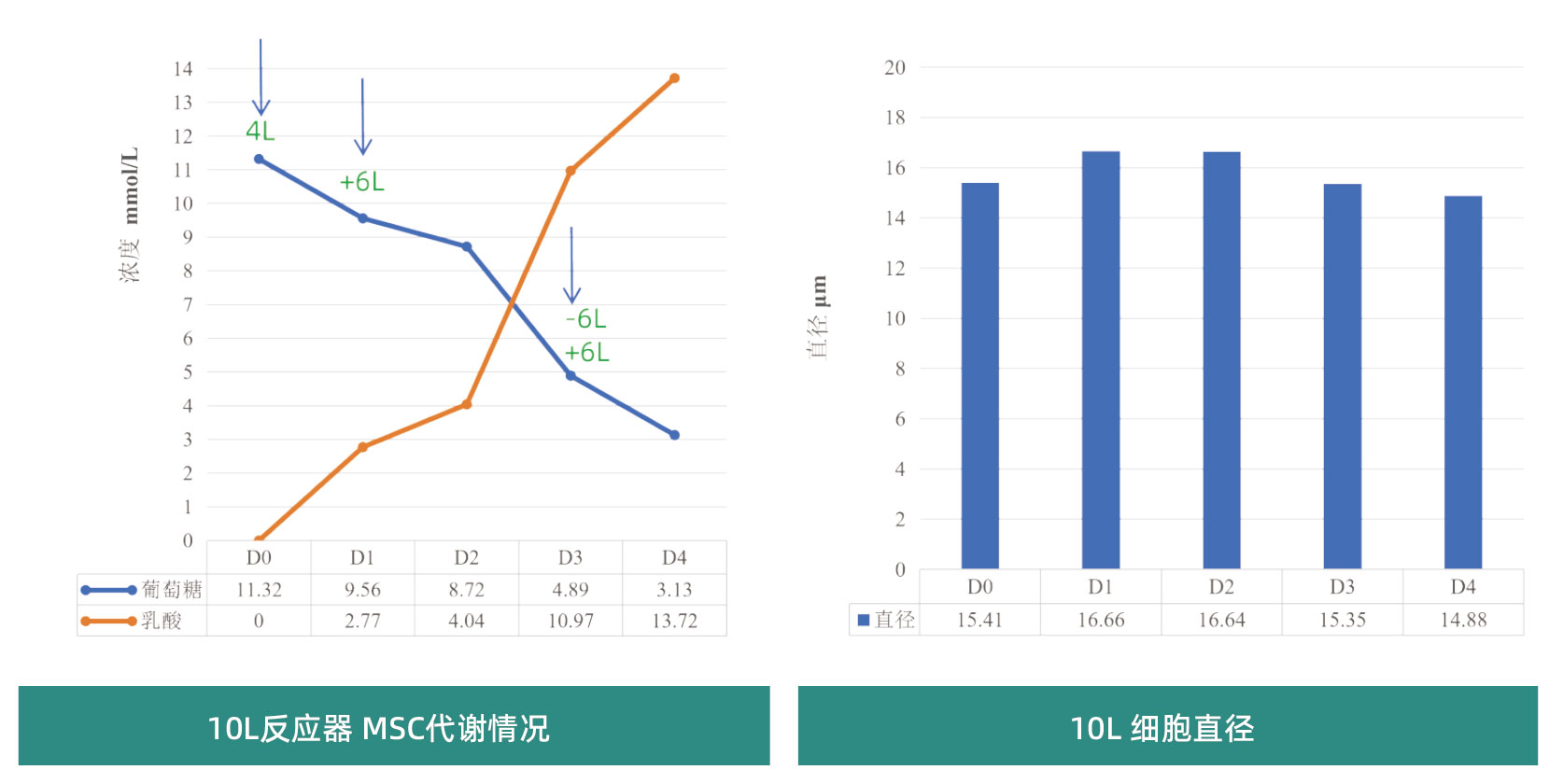 产品细节图片15