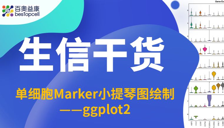 生信干货 | 单细胞Marker小提琴图绘制（ggplot2）