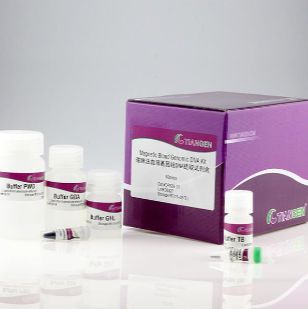 天根 磁珠法大体积游离核酸提取试剂盒(DP710)
