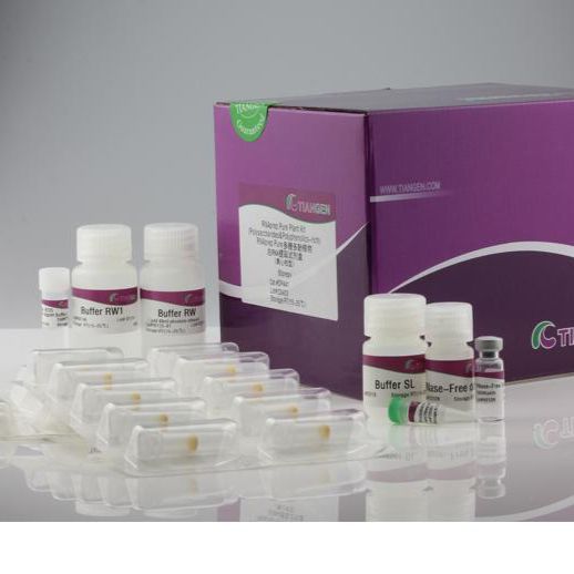 天根 RNAprep Pure 多糖多酚植物总RNA 提取试剂盒(DP441)