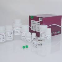 天根  磁珠法高效组织/细胞总RNA提取试剂盒（DP771）