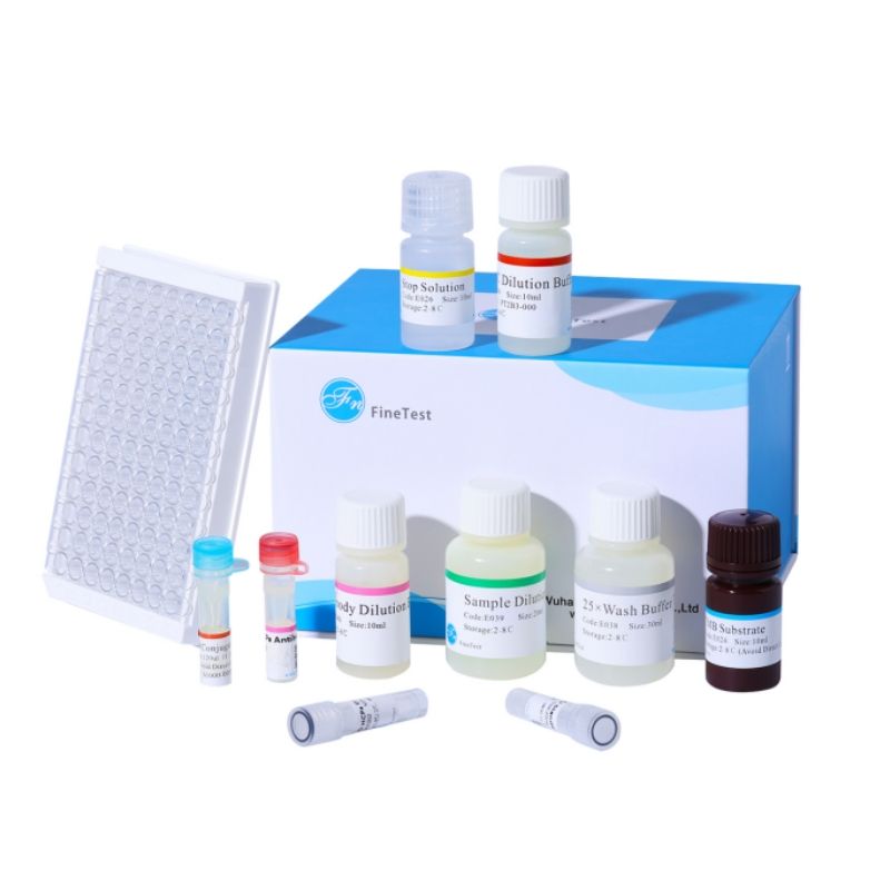 Mouse PDNP2 ELISA Kit|小鼠PDNP2 ELISA试剂盒