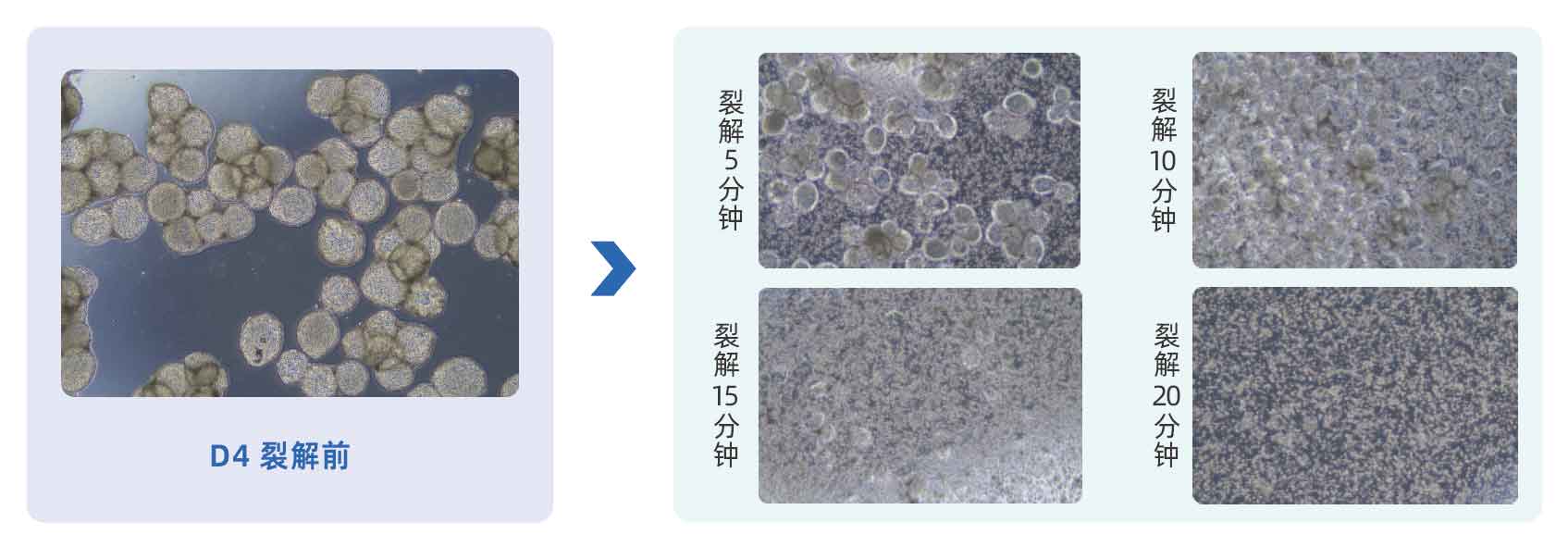 产品细节图片11
