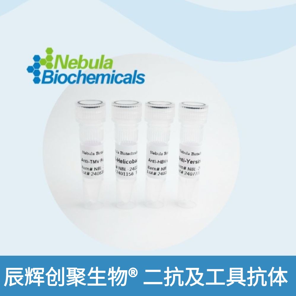 小鼠抗DNP单克隆抗体 | Mouse Anti-DNP Monoclonal Antibody