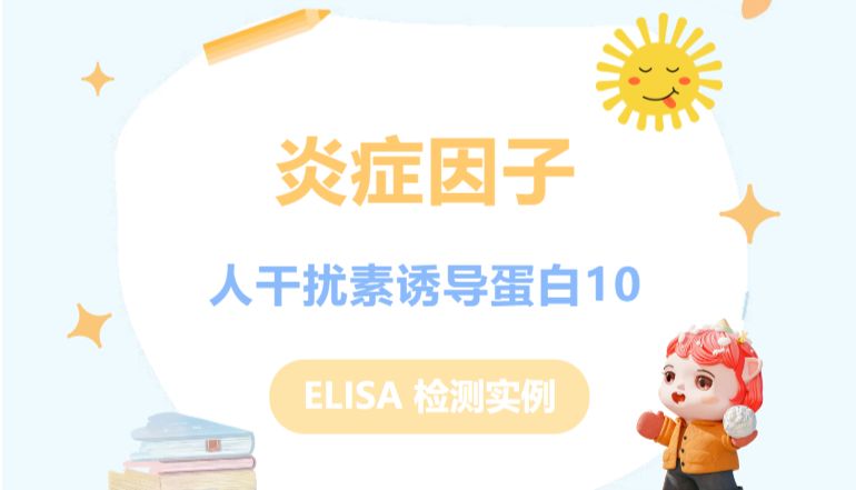 炎症因子|人干扰素诱导蛋白10（CXCL10） ELISA 检测实例