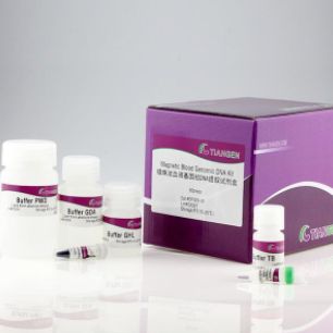 天根 TIANMicrobe磁珠法病原微生物DNA/RNA提取试剂盒(NG550/NG530)