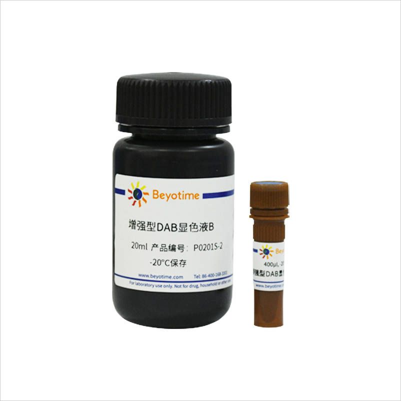 增强型DAB辣根过氧化物酶显色试剂盒