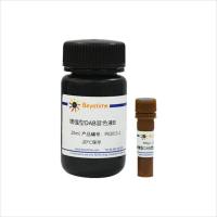 增强型DAB辣根过氧化物酶显色试剂盒