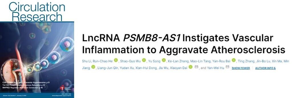 【2025年12月（上）文献战报】Bioss 高分文献精彩呈现