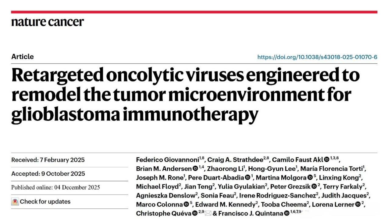 「DIFF CRO」文献速递： HSV改造溶瘤病毒新突破：重塑肿瘤免疫微环境