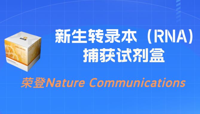 揭秘基因调控的“第一现场”：新生转录本捕获试剂盒，您的一线“机制侦探”