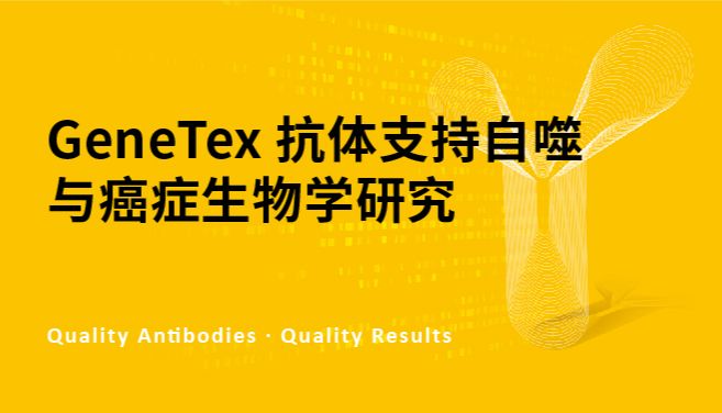 GeneTex 抗体支持自噬与癌症生物学研究
