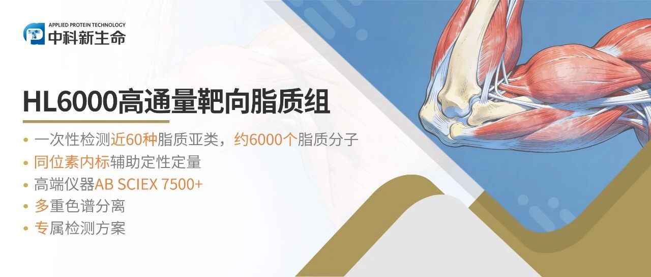 Nat Aging | 每天0.45g逆转肌肉流失！华西医院千人队列研究发现：补充肌氨酸可增肌10%，减脂15%，同步激活抗炎免疫