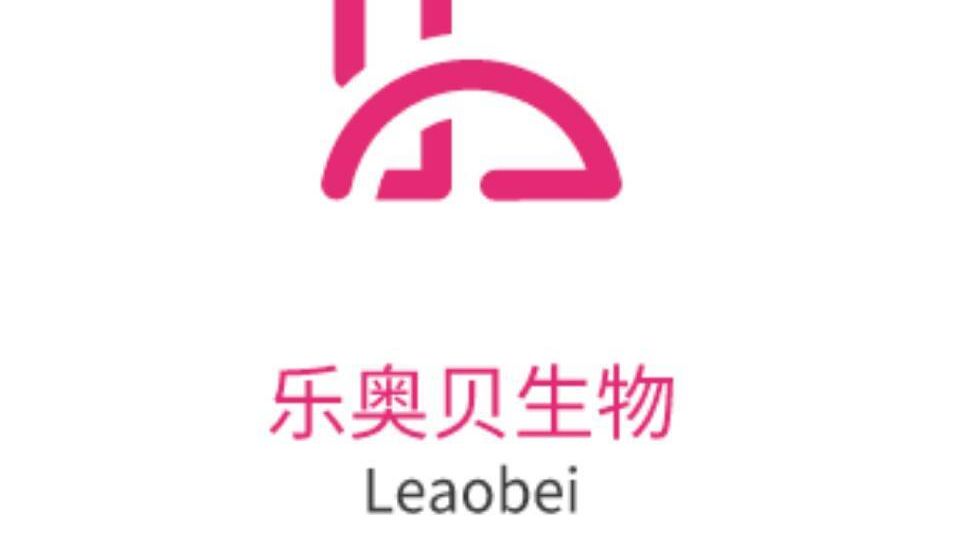 Western Blot 实验流程