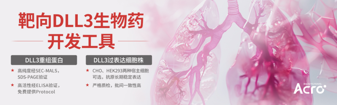 从Rova-T到Alveltamig：艾伯维12.35亿美元再次选择DLL3，TCE或将重塑SCLC治疗格局