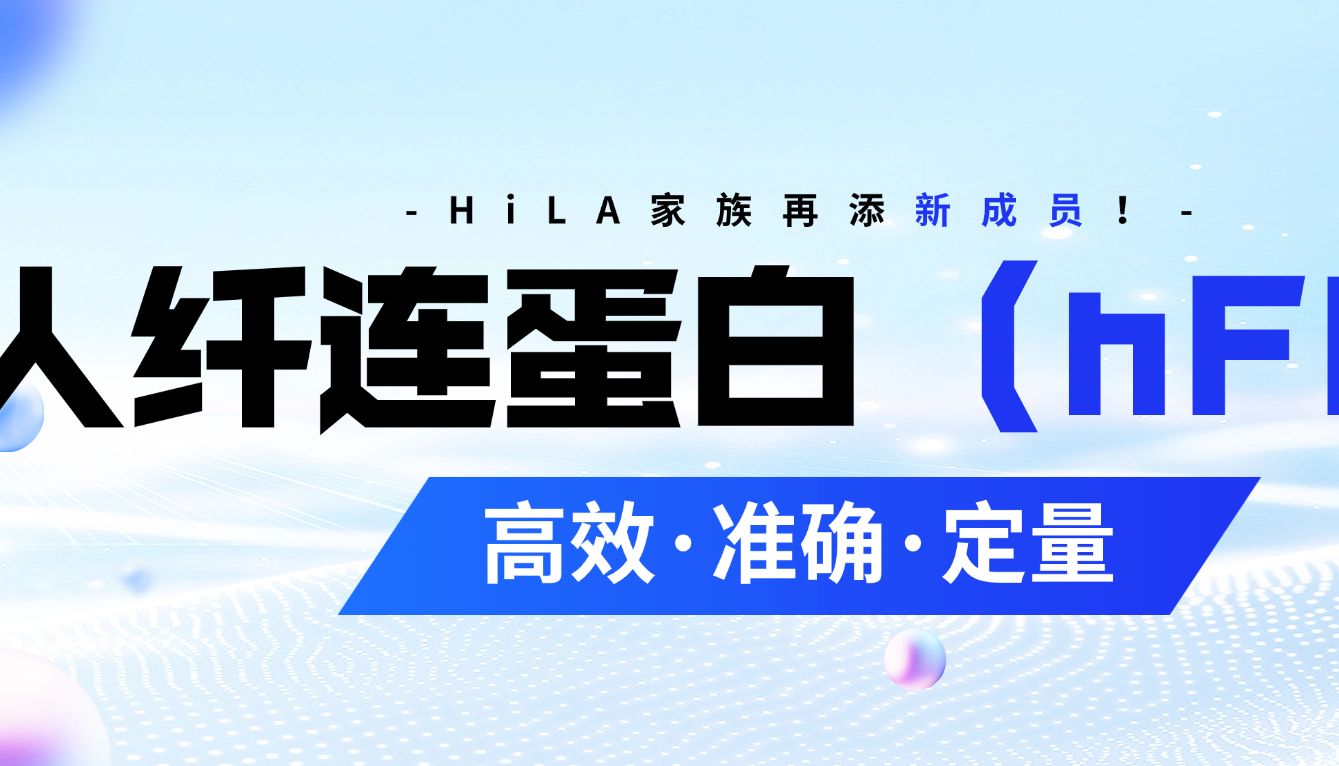 高效检测人纤连蛋白（hFN1）