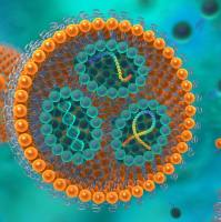 半乳糖-α-生育酚琥珀酸酯（Gal-TOS）脂质体：协同肝靶向与线粒体双靶向增强多西他赛抗肝癌效应