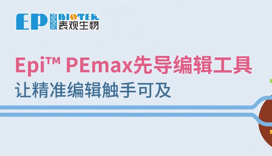 Epi™ PEmax先导编辑工具