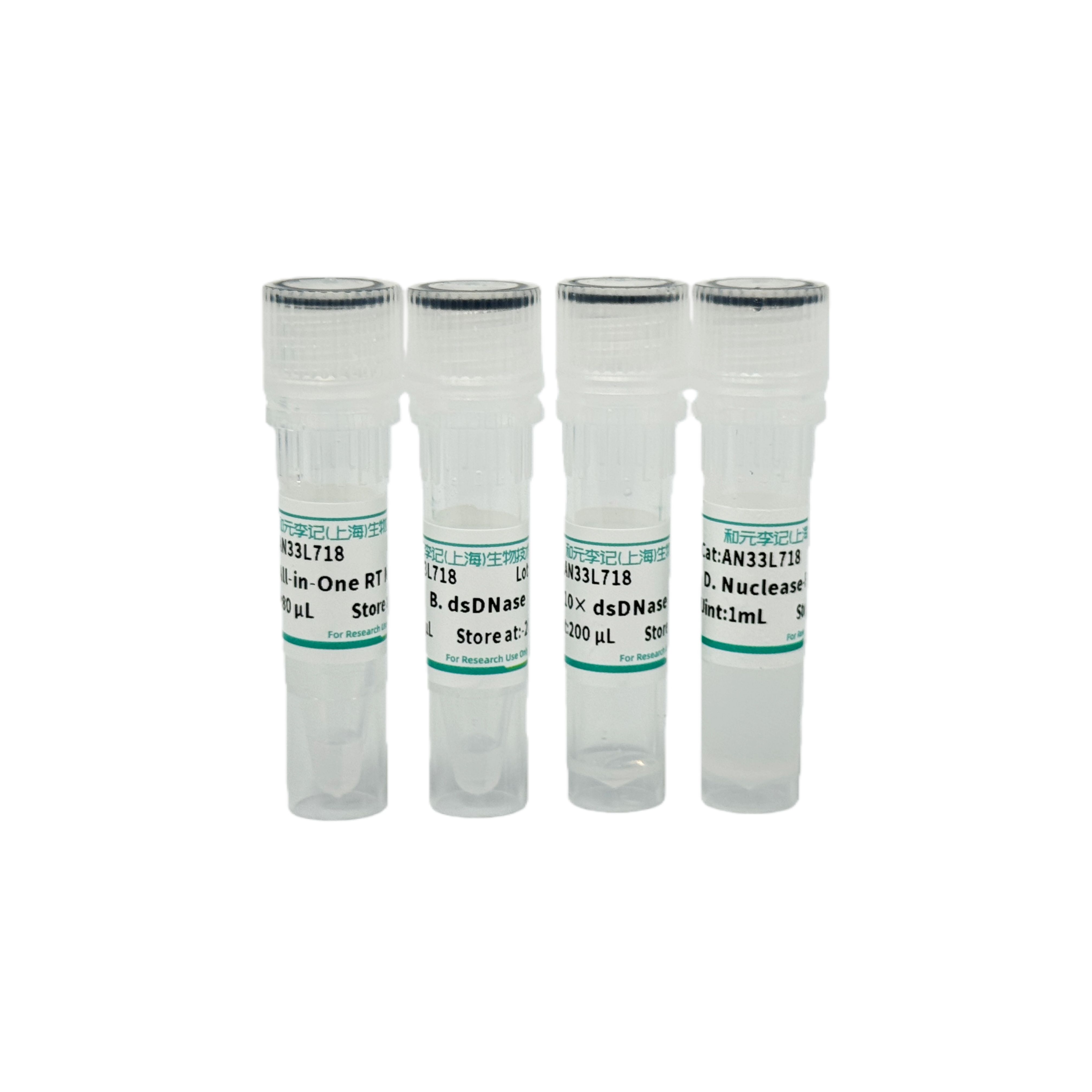 All-in-One RT MasterMix (with dsDNase)