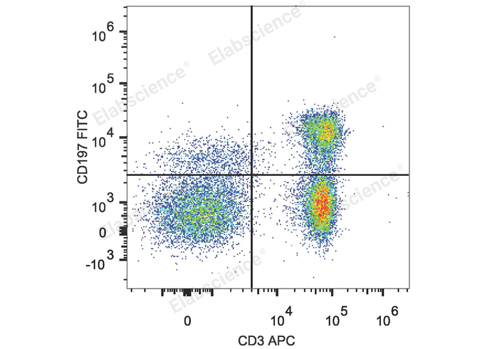 Elabscience FITC 标记抗人 CD197/CCR7 抗体[G043H7]：精准定位免疫细胞的“导航器”