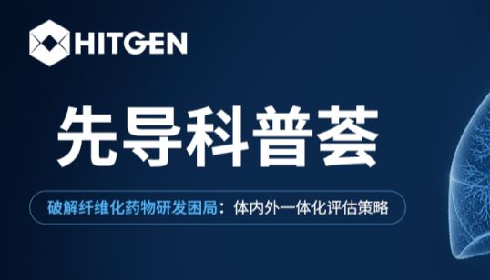先导科普荟 | 破解纤维化药物研发困局：体内外一体化评估策略