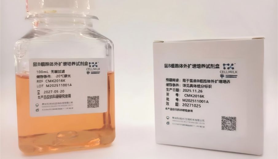 超越杂交瘤：鼠B细胞引发单抗研发新革命