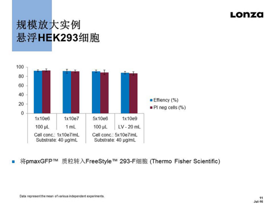 技术资料图片11