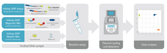 技术资料图片10