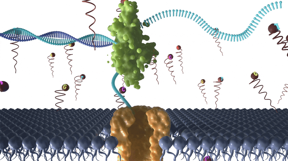 双剑合璧：G-seq500 与 G-seq1M —— 重新定义纳米孔测序的精准与高效时代！