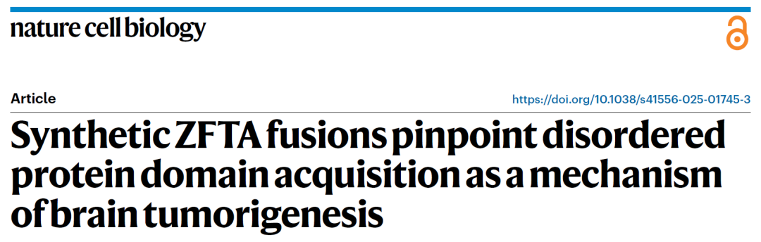 Nature Cell Biol 3i晶格光片+转盘共聚焦+FRAP联用揭示ZFTA融合蛋白如何 “操控” 凝聚体驱动脑肿瘤发生