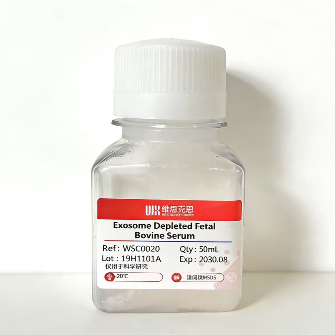 无外泌体胎牛血清  /  Exosome Depleted Fetal Bovine Serum