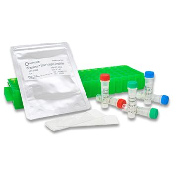 ISHpalette™短发夹扩增子